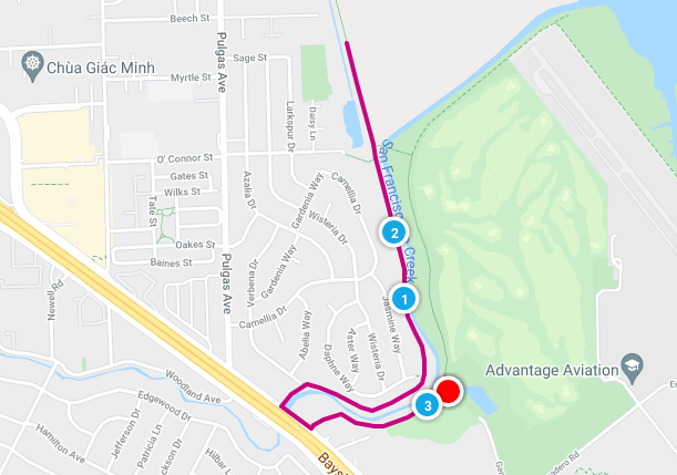 Palo Alto 5k